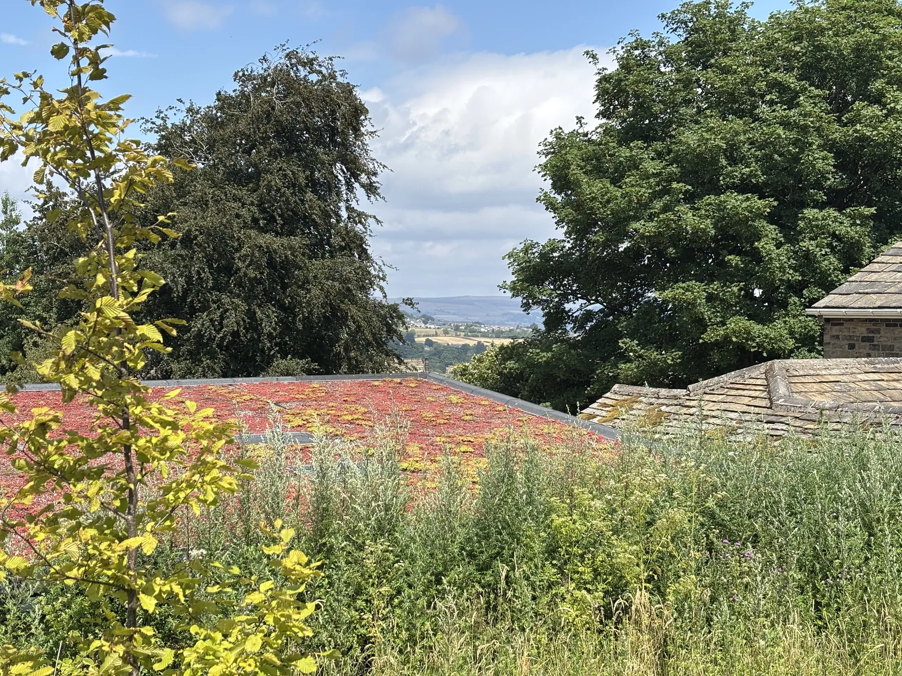 A rainbow over the West Yorkshire moors on a private Brontë Country tour
